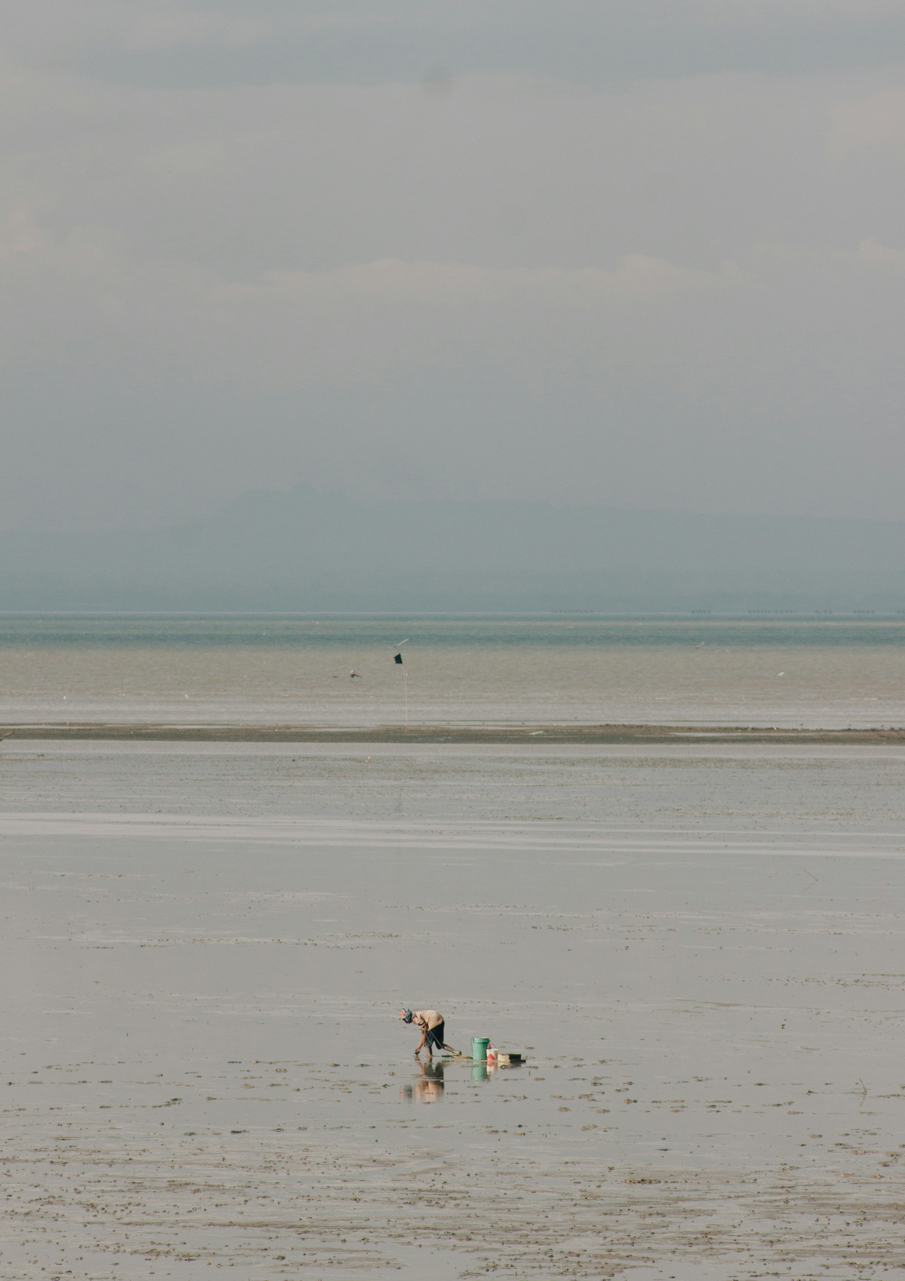 2 person walking on beach during daytime